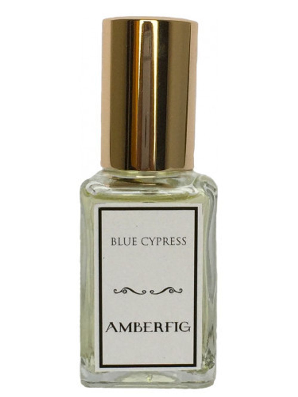 Amberfig Blue Cypress