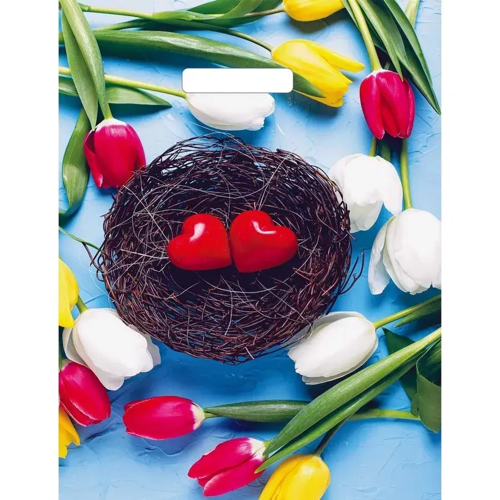 Пакет ПЭ с вырубной ручкой 31Артпласт глянец (Триумф) Россия (комплект 50 шт)