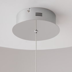 Подвесной светильник Maytoni MOD017PL-L13N