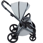 Детская коляска Anex l/type 2 в 1 с аксессуарами frost