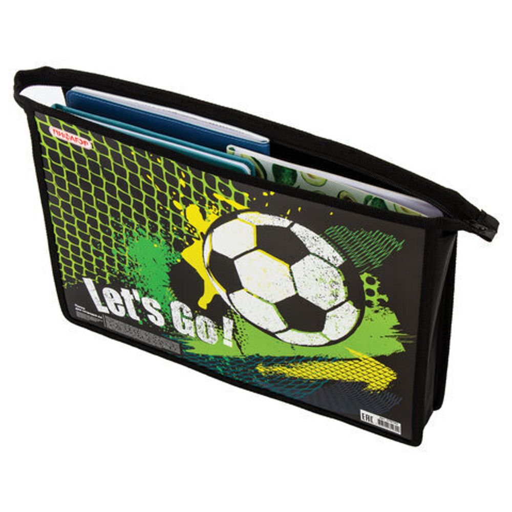 Папка для тетрадей ПИФАГОР А4, 1 отделение, картон/пластик, молния сверху, Let's Go!, 270102