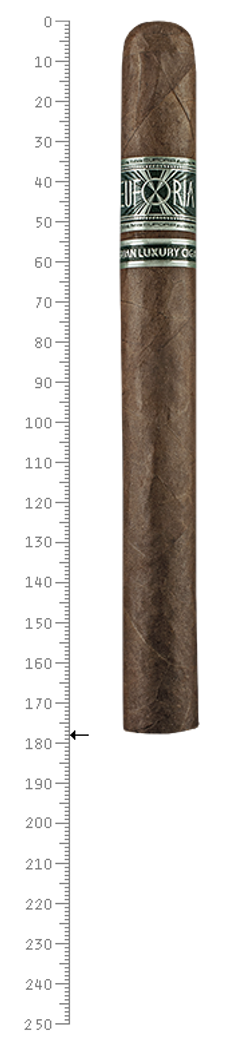 Euforia NLC Churchill