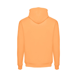 Толстовка PHOENIX