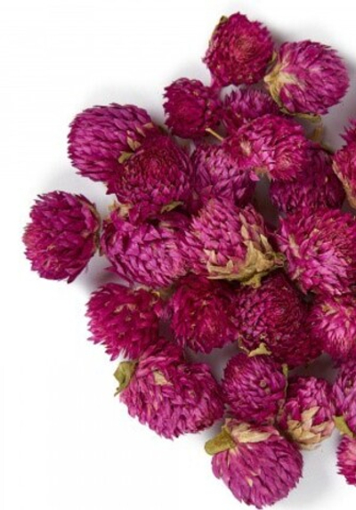 Гомфрена цветы сушеные