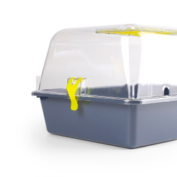 Террариум ZOOSET прозрачный серый/желтый - L (42х30,5х22,5 см)