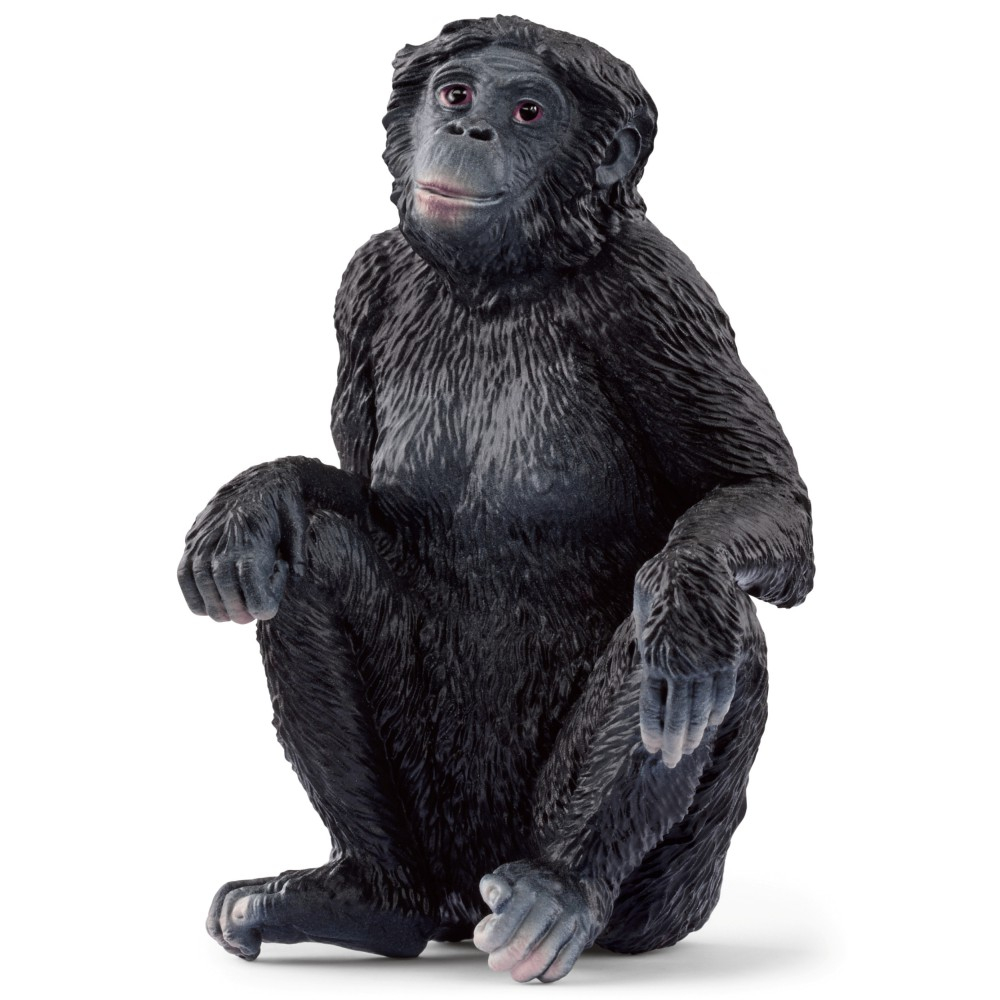 Schleich S 14875 — Самка бонобо — фото 1