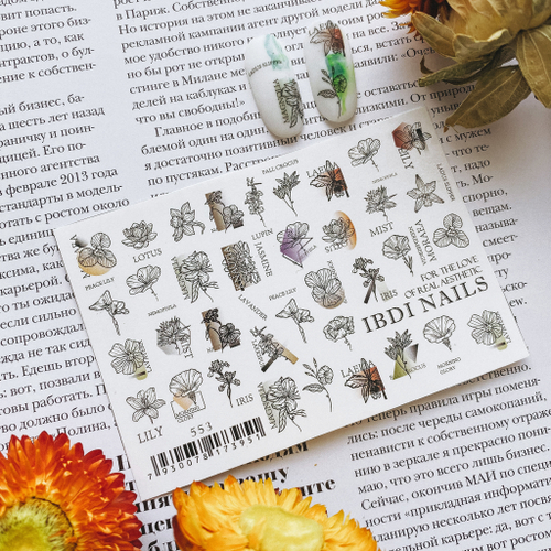 IBDI слайдер дизайн №553