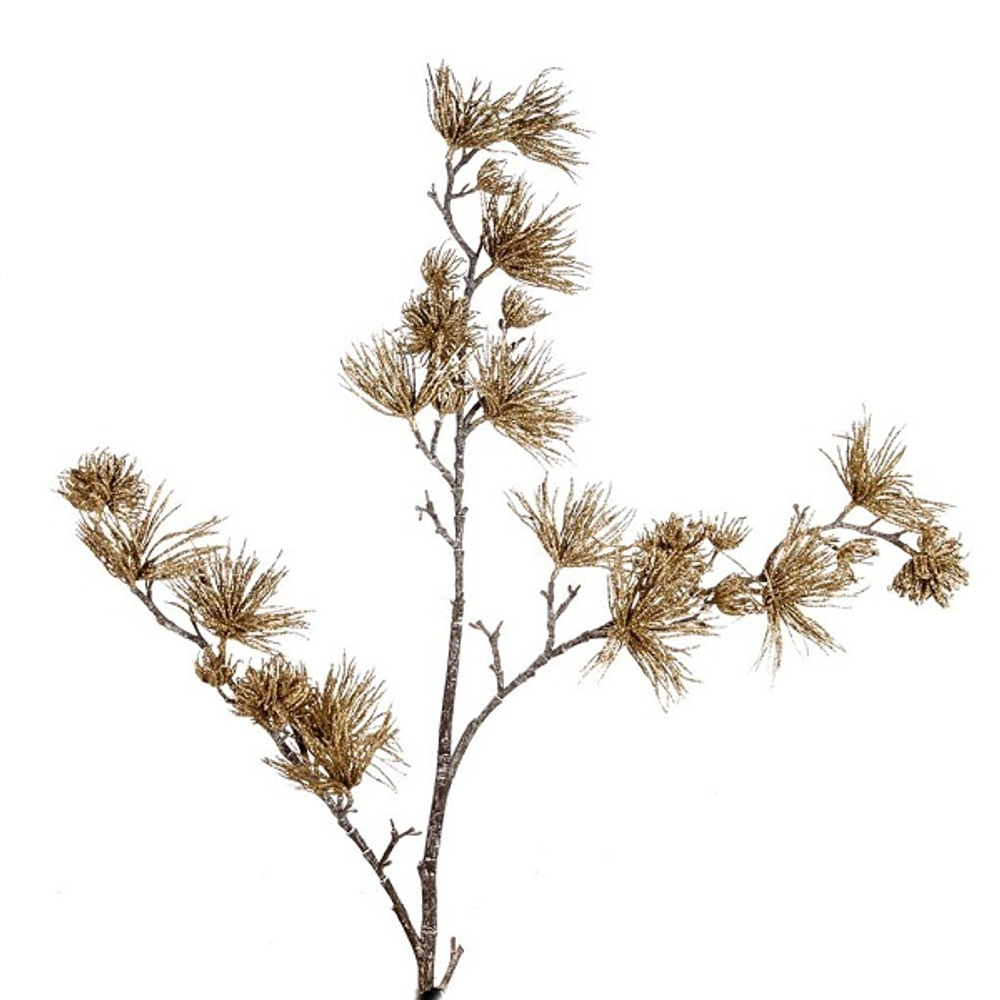 Ветвь ели золотая