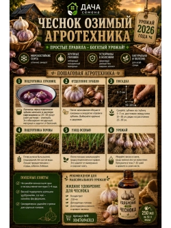 Чеснок посадочный озимый Гулливер