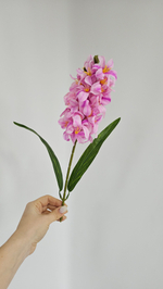 Гиацинт / Арт 2535