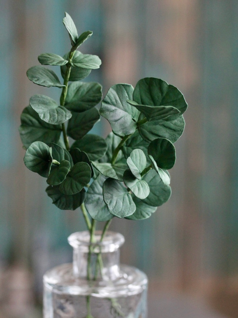 Набор вайнеров для лепки листьев эвкалипта Coprussia