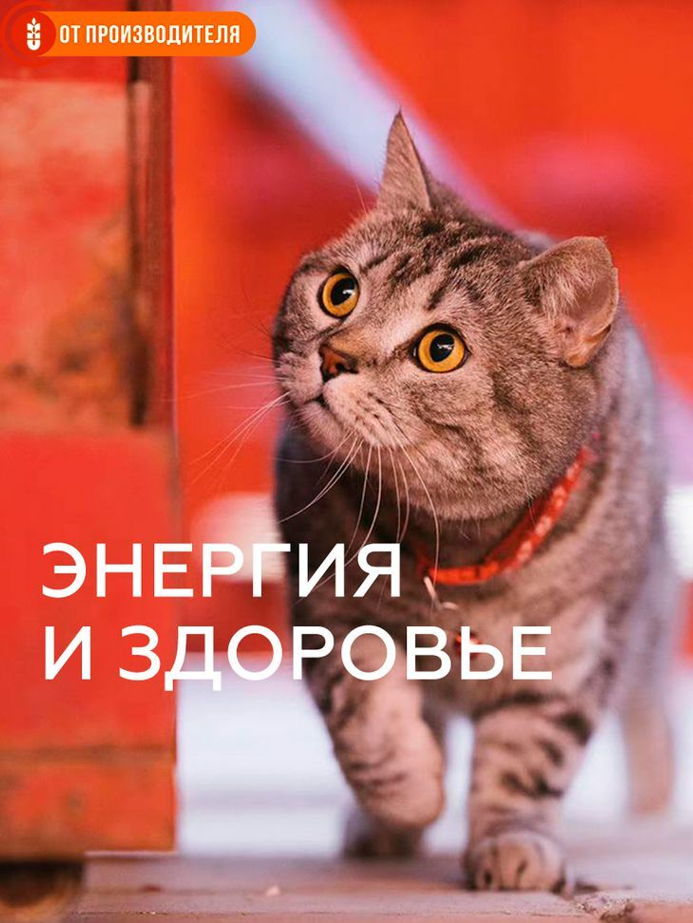 84c72fa69b7fafeb377a218b55c33087