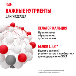 Royal Canin Chihuahua Adult Корм сухой для взрослых собак породы Чихуахуа от 8 месяцев - 1,5 кг