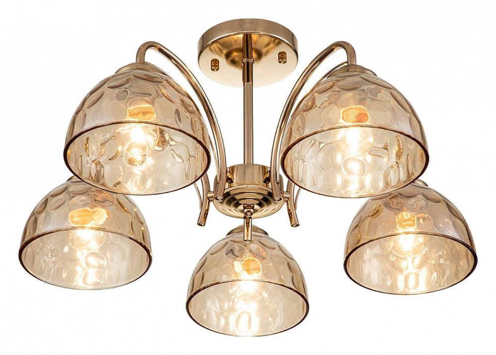 Накладной светильник Escada Mallow 665/5P