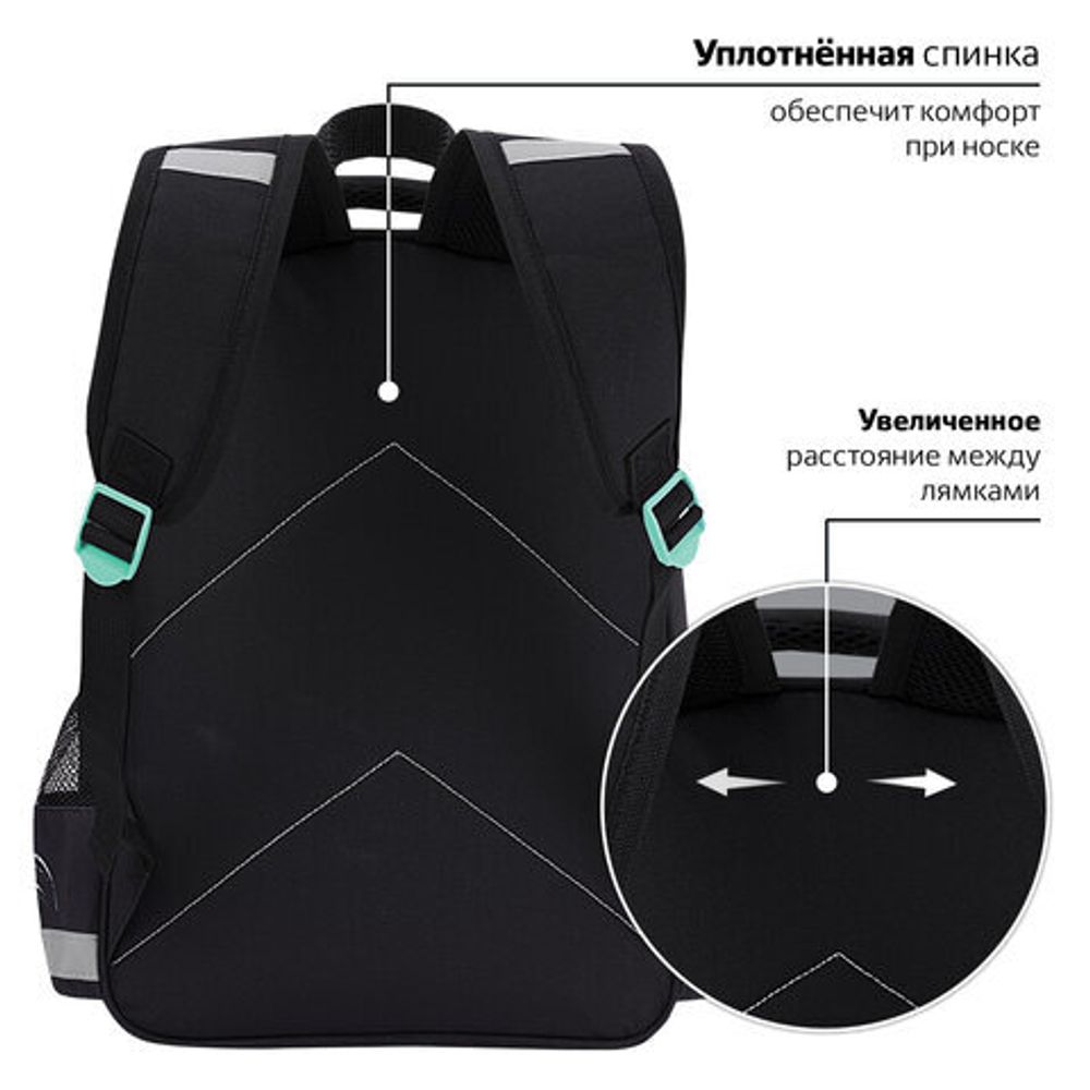 Рюкзак ПИФАГОР SCHOOL, 1 отделение, 3 кармана, "White tiger", 38x28х14 см, 272081