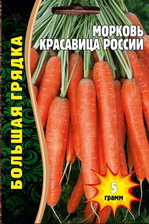 Морковь Красавица России