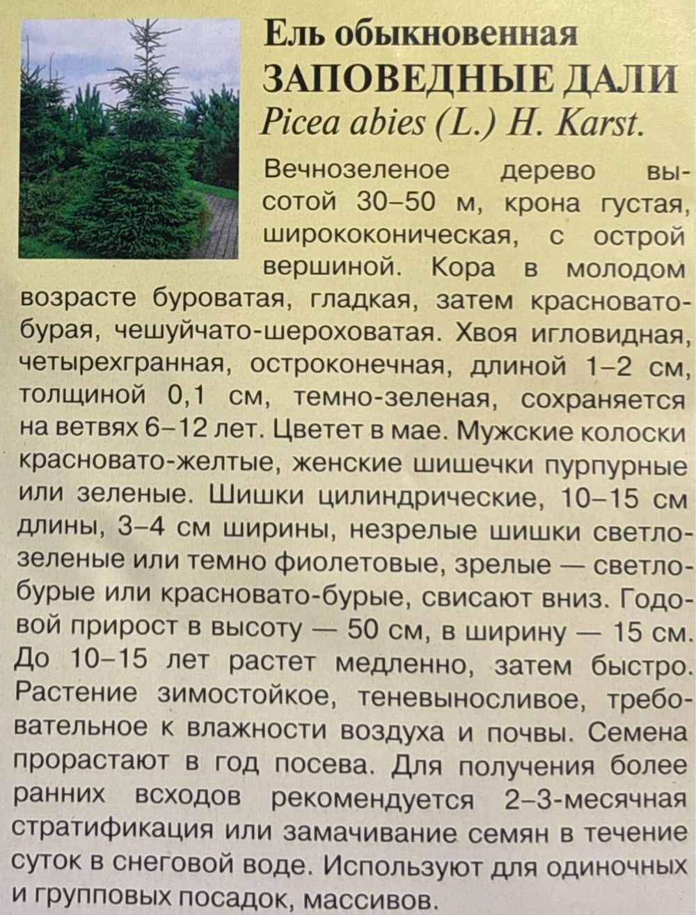 Ель обыкновенная Заповедные дали 0,5 г СМЦ-811