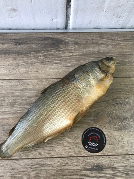 Сиг холодного копчения