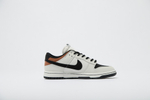 Кросс NIKE SB DUNK LOW PRO (бел.)