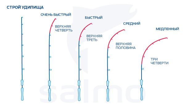 Как собрать первую спиннинговую снасть