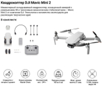 Квадрокоптер DJI Mini 2, серый
