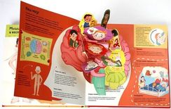 Я и мое тело. POP-UP. Энциклопедия с объемными конструкциями