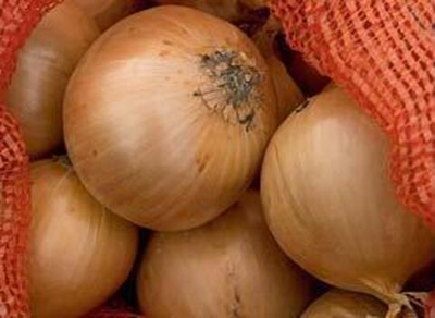 Боско F1 семена лука репчатого (Syngenta / Сингента)