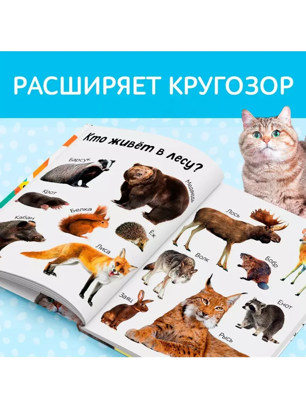 Первые 500 слов малыша