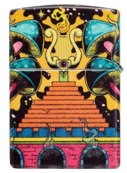 Зажигалка Zippo Skull Design (48640) 9