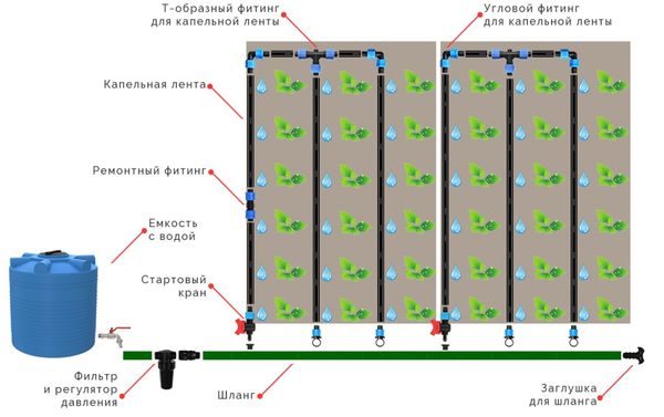 Капельный полив своими руками: как спланировать идеальную систему для сибирского сада Капельный полив своими руками: как спланировать идеальную систему для сибирского сада