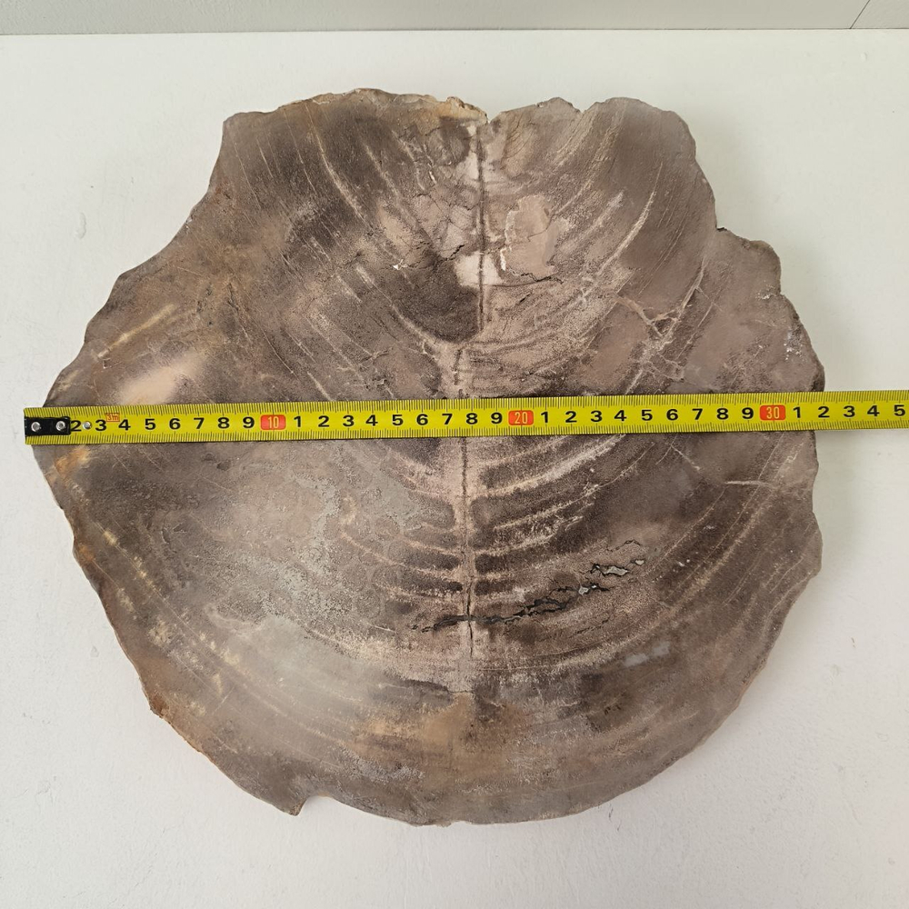 Набор из окаменелого дерева 4 предм Fossil Set NF-63282 поднос 149