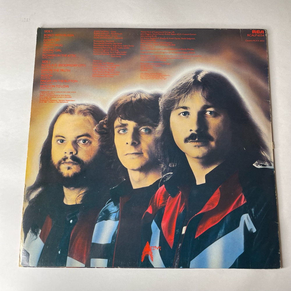 Винтажная виниловая пластинка LP Budgie Deliver Us From Evil (Нидерланды 1982)