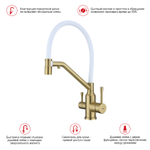 Смеситель для кухни с подключением фильтра Raglo R81.62.03, золотой сатин