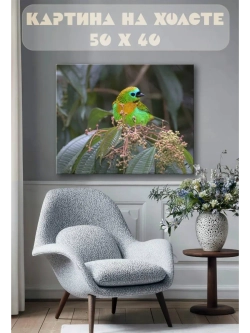 Картина на стену 40 X 50 Цветная птица