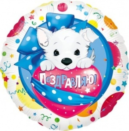 Шар (18""/46 см) Круг, Щенок (Поздравляю), 1 шт. Е40