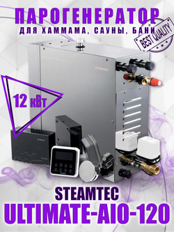 Steamtec TOLO AIO 120 - 12 кВт парогенератор для хамама и турецкой бани / Серия Premium