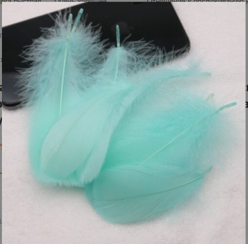 Перья мятные 12-15 см, 50 шт К