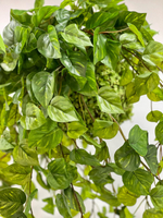 Эпипремнум гирлянда 180 см.