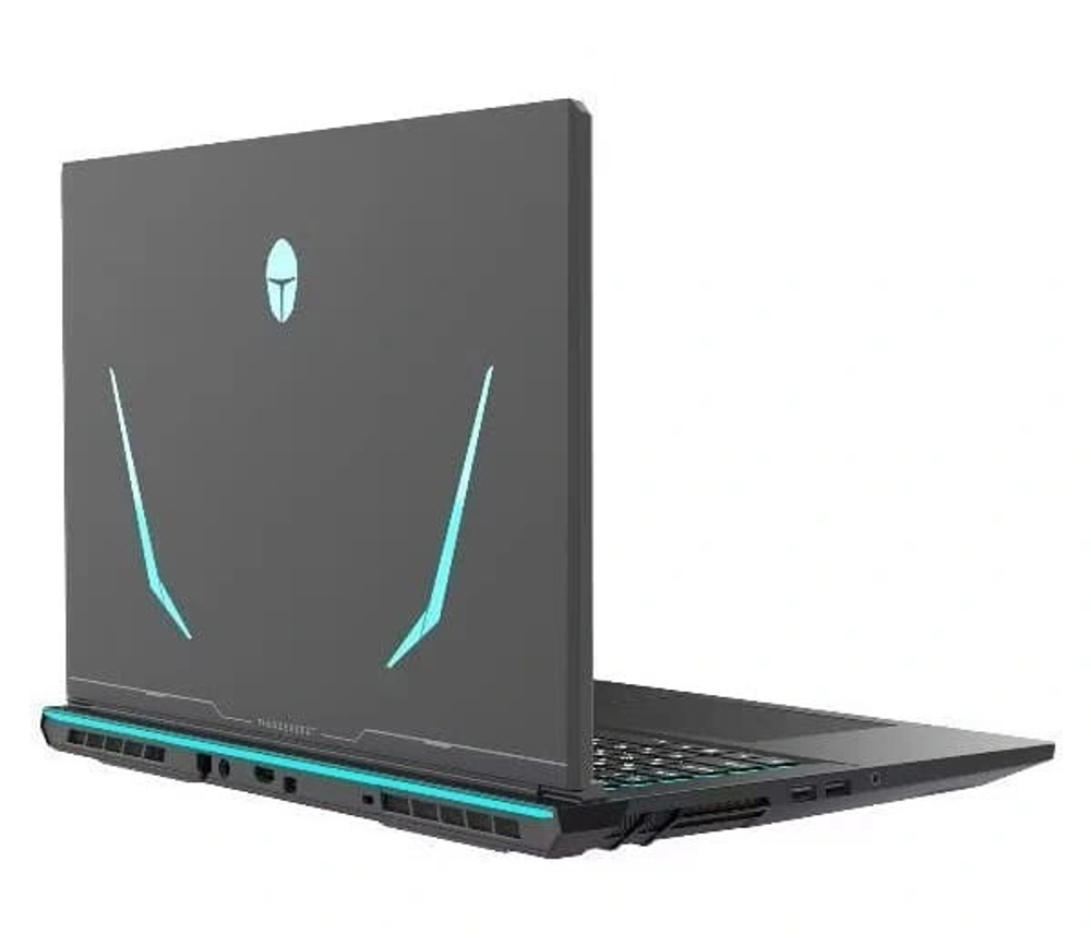 Ноутбук Thunderobot 911X Black (17.3" Intel Core i7-13620H, 32GB, 1TB SSD, RTX 5060, Windows 11)