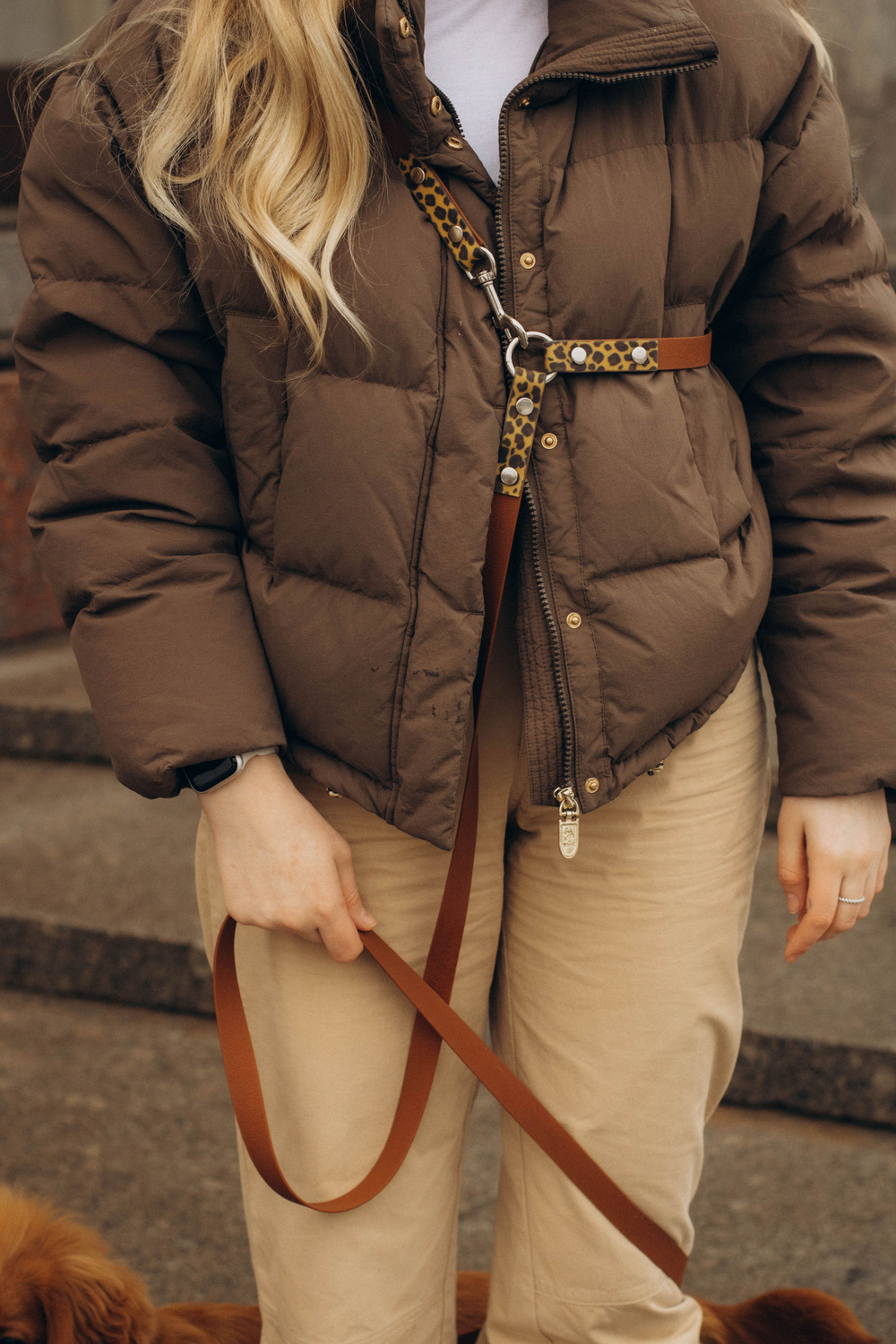 Перестежка поводок для собак 20 мм , 5 м коричневый и леопард