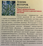 Душевик котовниковый Ветерок 0,01 г СМЦ-220