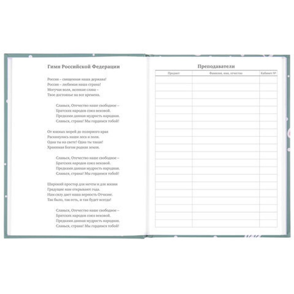 Дневник 5-11 класс 48 л., твердый, BRAUBERG, блестки, с подсказом, "Кактусы", 106420