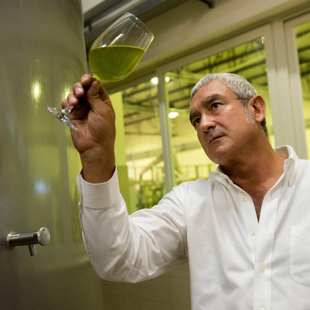 Оливковое масло BARBERA BIOLOGICO 1L.