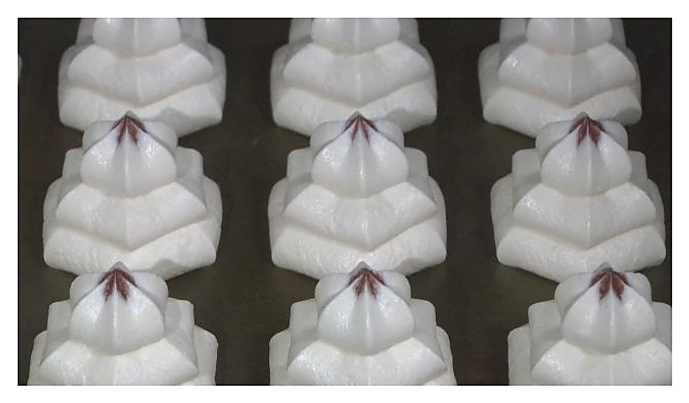 Отсадочная машина Восход Вектор-220