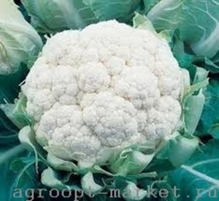 Миньон F1 семена капусты цветной (Clause / Клос)