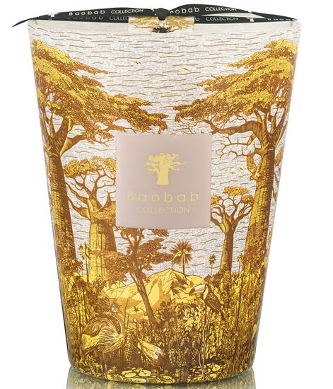 Bounkani, свеча MAX 24 Sacred Trees collection, Baobab Collection