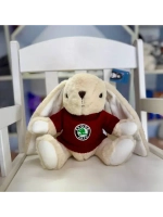 Мягкая игрушка в машину заяц Шкода Skoda 25 см
