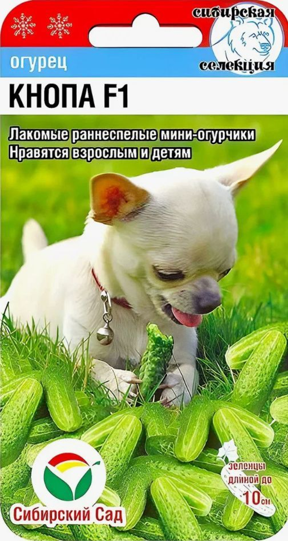 Огурец Кнопа F1