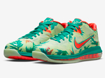 Заказать Nike LeBron 9 Low LeBronold Palmer