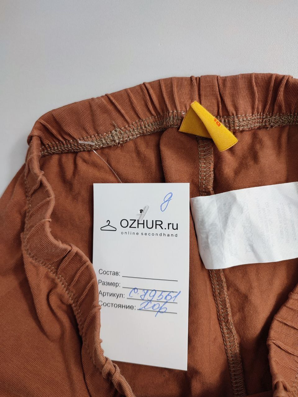 Шорты Bittle Land базовые на 10 лет